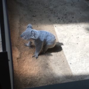 新米パパのげんじつはきびしい