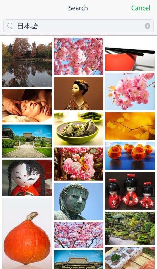 日本語検索に対応しているSparkPost