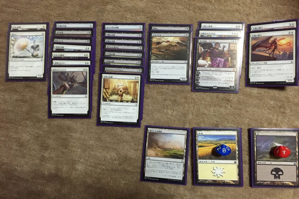 アモンケットシールドータクヤくん(仮)