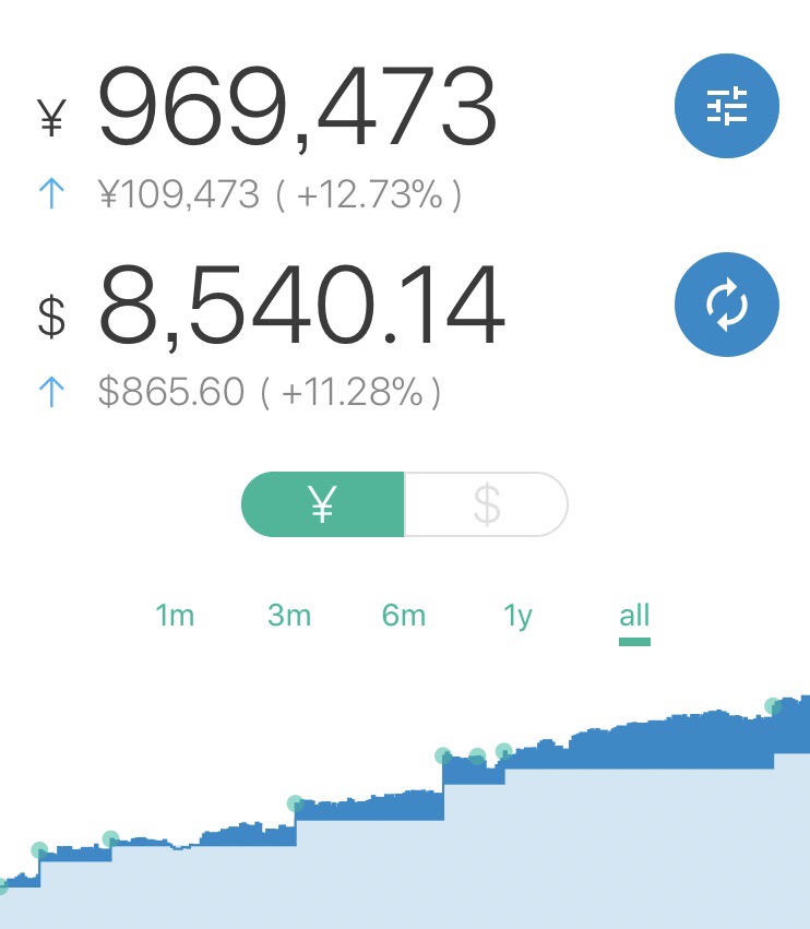 ウェルスナビのリターンが10万円を超える